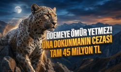 Ödemeye ömür yetmez! Ona dokunmanın cezası tam 45 milyon TL
