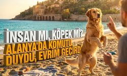 İnsan mı, köpek mi? Alanya’da komutu duydu, evrim geçirdi