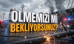 Azrail’le burun buruna! Alanya’da kimse müdahale etmiyor