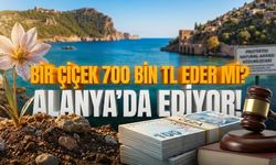 Dokunmanın bedeli servet! Antalya ve Alanya’da cezası 699 bin TL