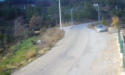 Bir yanda kovalamaca, diğer yanda kaza!