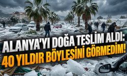 Alanya mı, Sibirya mı? Palmiyelerin altı kar değil, dolu yığını!