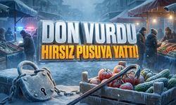 Alanya’da tarım alarm veriyor: Don vurdu, hırsız pusuya yattı!