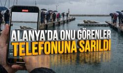 Alanya’da onu görenler telefonuna sarıldı