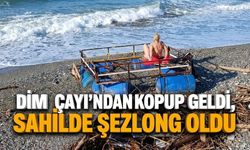 Dim Çayı’ndan kopup geldi, sahilde şezlong oldu