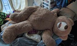 Alanya bu hırsızları konuşuyor: Ayıyı kucaklayıp kaçtılar!