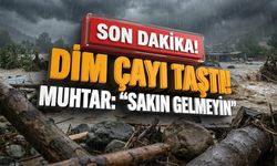 SON DAKİKA! Dim Çayı taştı! Muhtar: "Sakın gelmeyin"
