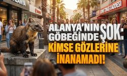 Alanya’nın göbeğinde şok görüntü: Kimse gözlerine inanamadı!