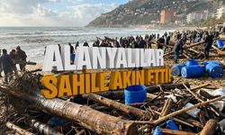 Azgın dalgalar odun taşıdı: Alanyalılar sahile akın etti!