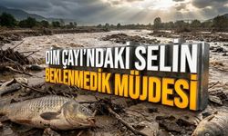 Dim Çayı’ndaki selin beklenmedik müjdesi
