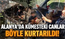 Alanya’da kümesteki canlar böyle kurtarıldı!