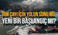 Dim Çayı için yolun sonu mu, yeni bir başlangıç mı?