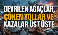 Alanya yollarında kaos: Devrilen ağaçlar, çöken yollar ve kazalar üst üste