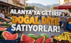 "Alanya’ya kamyonla getirip doğal diye satıyorlar!"