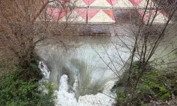 Alanya’da vatandaşa uyarı: "Uzak durun!"