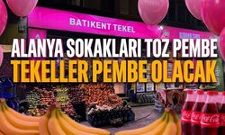 Alanya sokakları toz pembe: Tekeller pembe olacak