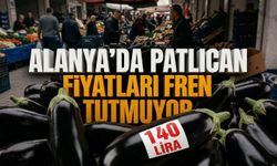 Alanya’da patlıcan fiyatları fren tutmuyor