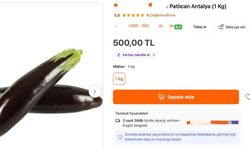 Antalya patlıcanının kilosu 500 TL mi oldu?