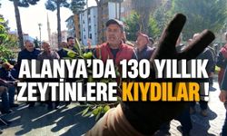 Alanya’da baltalar konuştu: 130 yıllık zeytinlere kıydılar!