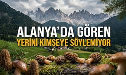 Alanya’da servet yatıyor! Gören yerini kimseye söylemiyor