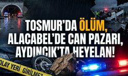 Tosmur'da ölüm, Alacabel'de can pazarı, Aydıncık'ta heyelan!