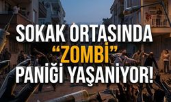 Sokak ortasında "Zombi" paniği yaşanıyor!