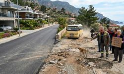 Zengine 'halı' serildi, vatandaşa köstebek yuvası kaldı