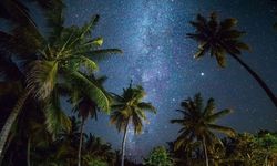 Alanya’da 'Tropikal Geceler' kapıda: Klimalar durmayacak!