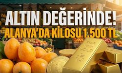 Fiyatı gören küçük dilini yuttu! Alanya’da kilosu 1.500 TL!