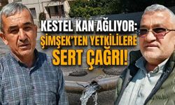 Kestel kan ağlıyor: Şimşek’ten yetkililere sert çağrı!