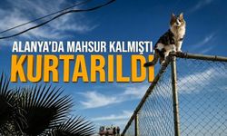 Herkes alkışladı! Alanya’da mahsur kalmıştı, kurtarıldı