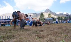 Gökbel Güreşleri, Gelişim Ligi takvimine alındı