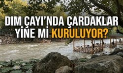 Dim Çayı'nda inat! Vali 'Yasak' dedi, işletmeciler durmadı