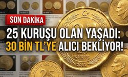 Alanya’da 25 kuruşu olan yaşadı: 30 bin TL’ye alıcı bekliyor!