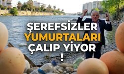 Alanya’da ördeklerin yumurtalarını mı yediler?