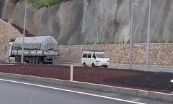 Alanya’da inanılmaz görüntü! Herkesin canına böyle kast etti