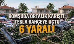 Komşuda ortalık karıştı, Tesla bahçeye uçtu: 6 yaralı