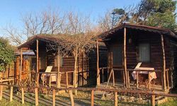 Alanya'da kaçak bungalov devri bitiyor: Geri sayım başladı