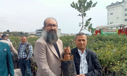 Tam 5 bin fidan: Alanya’nın kara altını toprakla buluştu