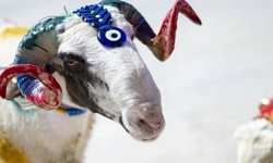 Alanya’da gözler kabinede: 9 günlük bayram tatili kapıda mı?