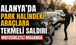 Alanya’da park halindeki araçlara tekmeli saldırı