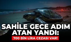 Sahile gece adım atan yandı: 700 bin liralık "kaplumbağa" cezası!