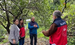 Alanya’daki bahçelerde her ağaç mercek altında