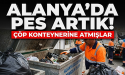 Alanya’da pes artık! Çöp konteynerine atmışlar