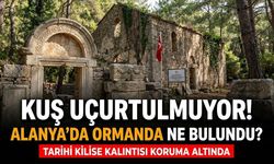 Kuş uçurtulmuyor! Alanya’da ormanda ne bulundu?