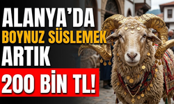 Alanya’da boynuz süslemek artık 200 bin TL!
