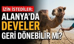 İzin istediler: Alanya’da develer geri dönebilir mi?