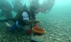 Alanya denizi için dalgıçlar su altına iniyor
