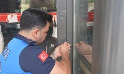 Alanya’da tüketim tarihi geçmiş ürün satıp mühürlendiler