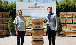 Alanya Belediyesi, 168 arı kovanını üreticiyle buluşturdu